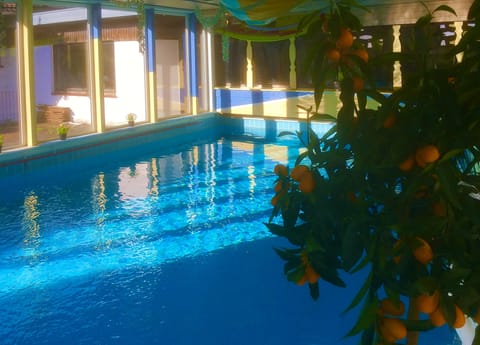 Indoor pool, pool umbrellas, sun loungers