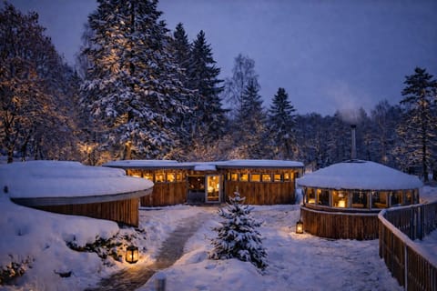 Sauna, body treatments, aromatherapy, body wraps, body scrubs, facials