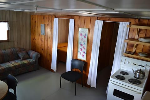 Economy Cottage, 2 Bedrooms (Cottage #1) | Living area | TV