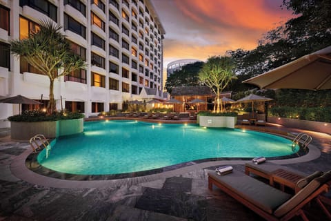 Outdoor pool, sun loungers