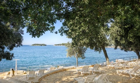 On the beach, sun loungers, beach umbrellas, beach volleyball