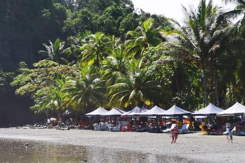 Beach shuttle, beach towels
