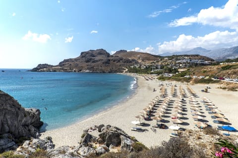 Beach nearby, rowing