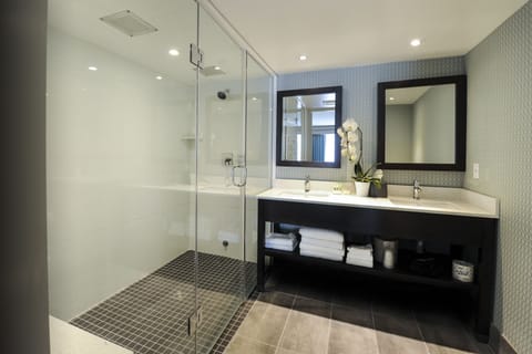 Standard Room, 1 King Bed (Walk-In Shower) | Bathroom shower