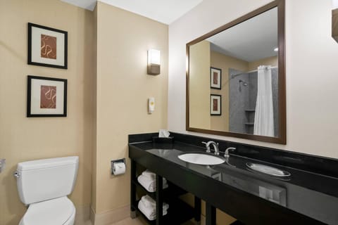 Suite, 1 King Bed with Sofa bed, Non Smoking | Desk, blackout drapes, iron/ironing board, free WiFi