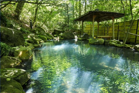 Hot springs