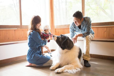 Pet-friendly