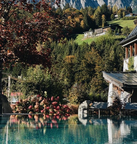 Indoor pool, outdoor pool, pool umbrellas