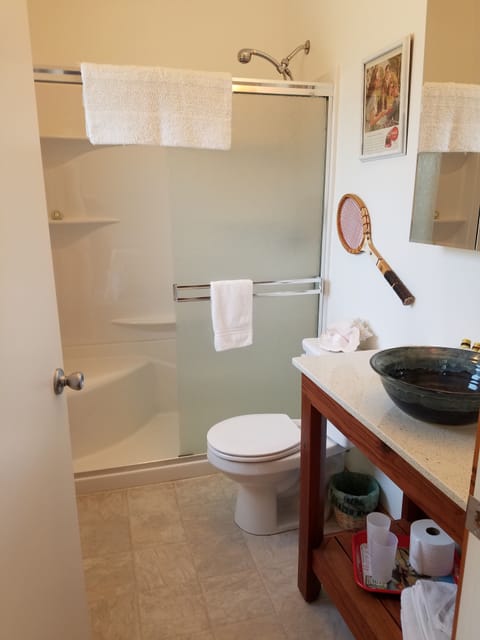 Deluxe King Suite  | Bathroom | Shower, free toiletries, hair dryer, towels