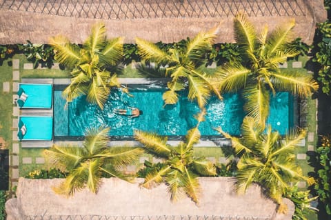 Outdoor pool, sun loungers