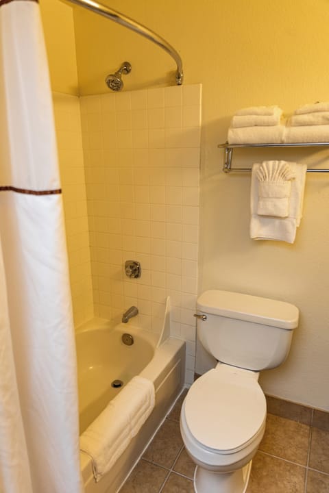 Combined shower/tub, free toiletries, hair dryer, towels