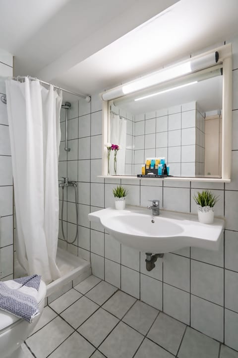 Standard Triple Room | Bathroom | Shower, free toiletries, hair dryer, towels