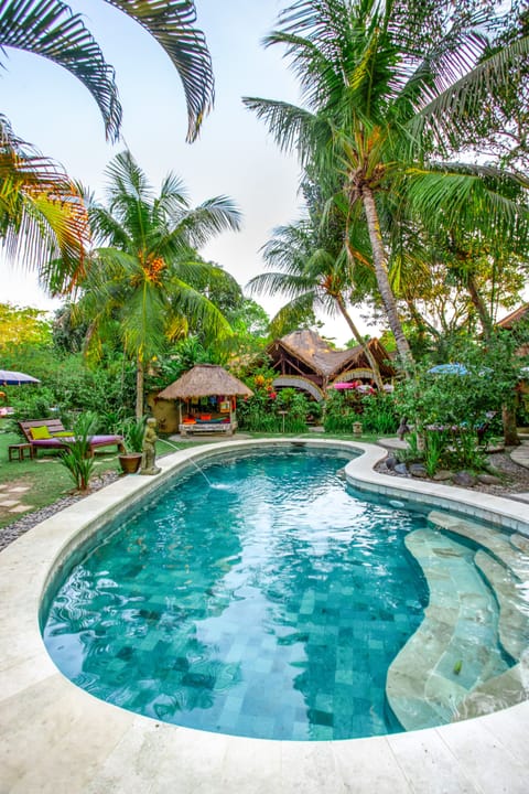 Outdoor pool, sun loungers