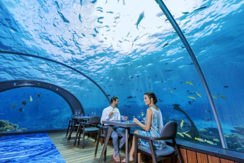 3 restaurants, breakfast, lunch, dinner served; international cuisine