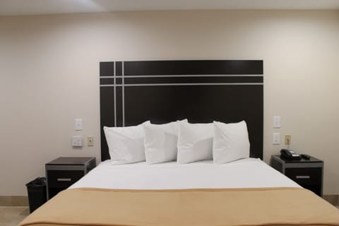 Premium bedding, desk, iron/ironing board (on request), WiFi (free)