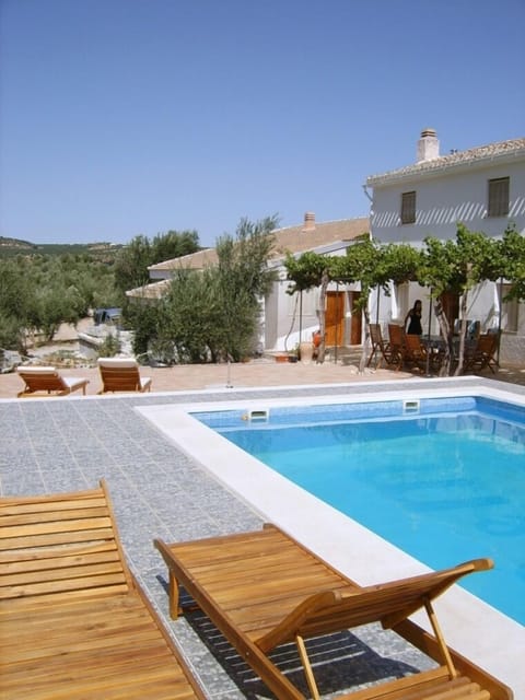 Outdoor pool, sun loungers