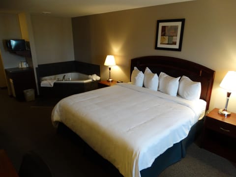 Executive Single Room | Desk, WiFi (free)