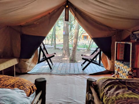 Pillowtop beds, minibar, in-room safe, bed sheets