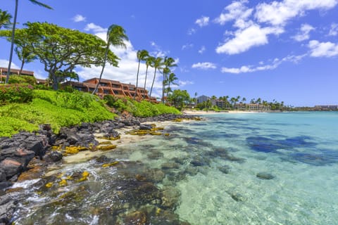 Condo, 1 Bedroom | Beach | On the beach