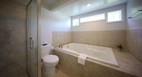 Premium Double East | Bathroom | Free toiletries, hair dryer, towels