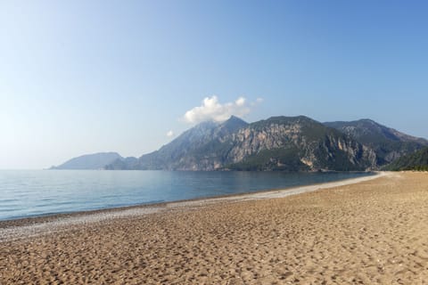 Beach nearby