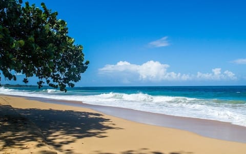On the beach, white sand, sun loungers, beach towels