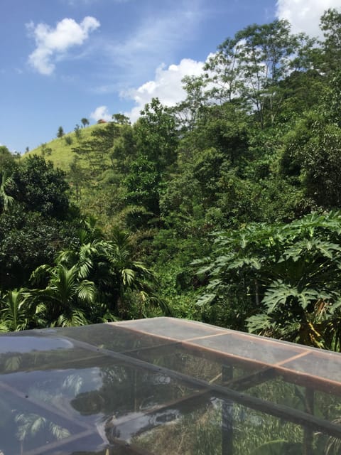 View from room