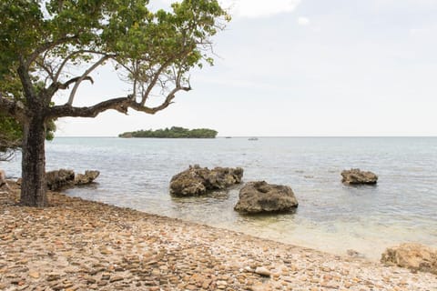 Beach nearby, white sand