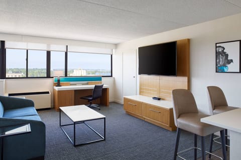 Flat-screen TV, Netflix