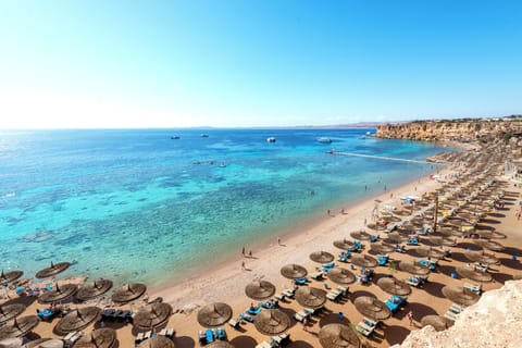 On the beach, scuba diving, beach bar