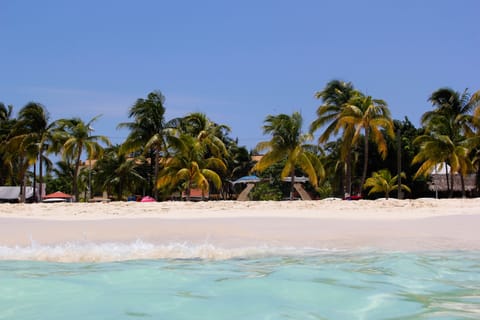 White sand