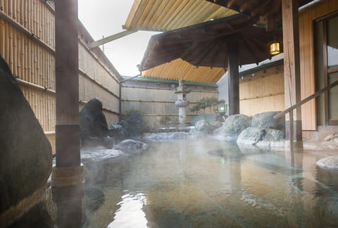 Natural pool
