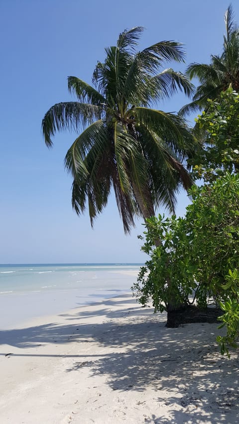 Private beach, sun loungers, beach towels, snorkeling