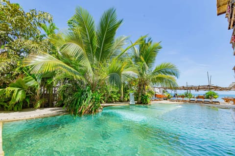 Outdoor pool, pool umbrellas, sun loungers