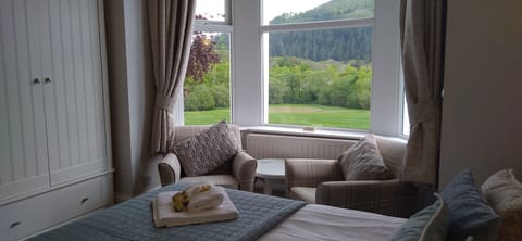 Superior Double or Twin Room | Iron/ironing board