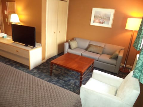 Economy Suite, 1 King Bed, Kitchenette | Living area | 43-inch TV with premium channels