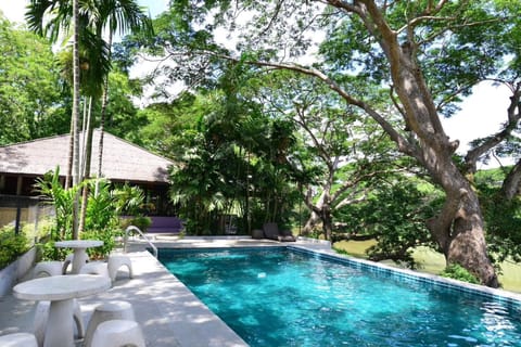 Outdoor pool, sun loungers