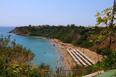 Beach nearby, beach shuttle, 8 beach bars