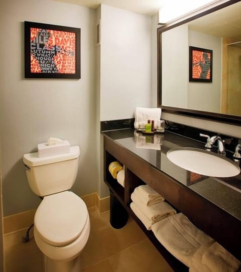 Combined shower/tub, free toiletries, hair dryer, bathrobes