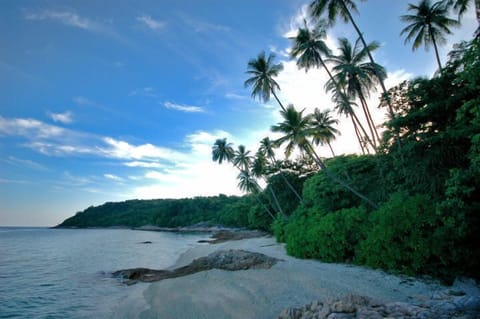 Private beach, beach shuttle, snorkeling