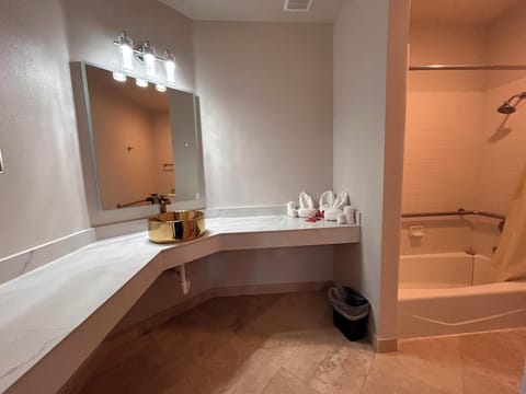 Standard Room, 1 King Bed, Accessible, Refrigerator & Microwave | Bathroom | Shower, free toiletries, hair dryer, towels