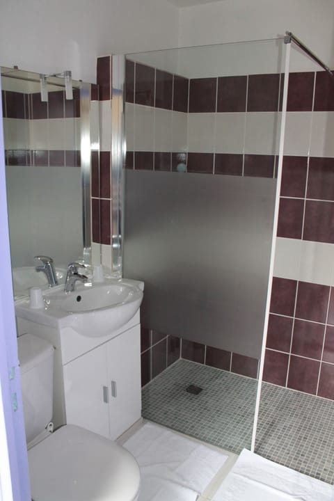 Double Room | Bathroom | Shower, hair dryer, towels