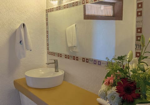 Shower, towels, toilet paper