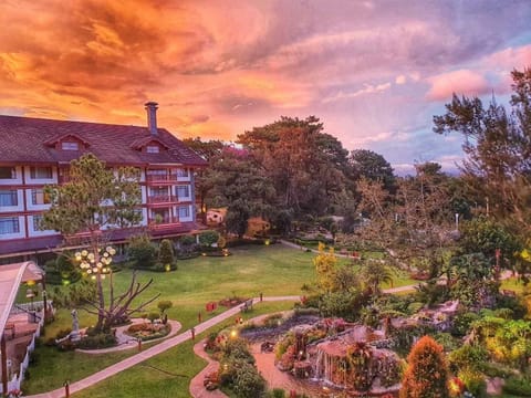 Garden view