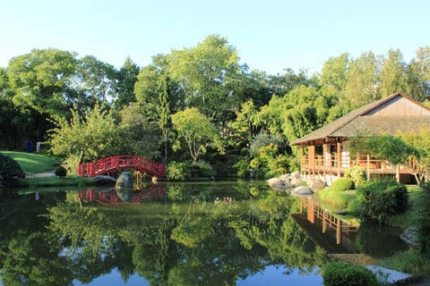 Japanese garden