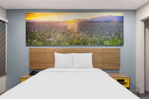 Room, 1 Queen Bed, Accessible, Non Smoking (Mobility/Hearing, Tub w/ Grab Bars) | Desk, laptop workspace, free WiFi