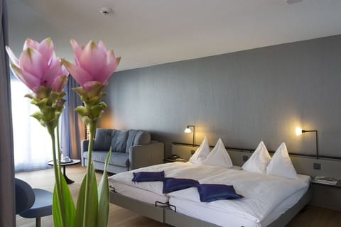 Superior Room | Down comforters, minibar, in-room safe, desk