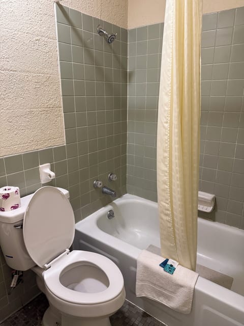 Deluxe Double Room Single Use | Bathroom | Combined shower/tub, hair dryer, towels