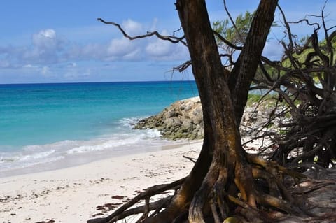 White sand, snorkeling, windsurfing, surfing