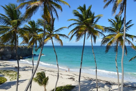 White sand, snorkeling, windsurfing, surfing